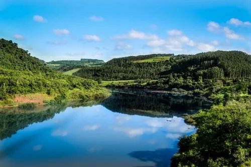 独特绿色创新